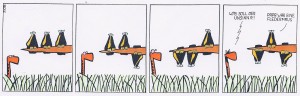 rabenfledermaus1